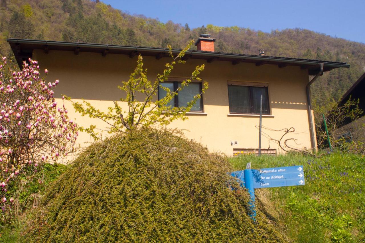Na Kopitarjevi Hotel Laško Eksteriør billede